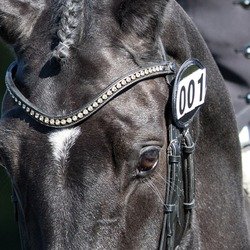 Equetech Bridle Competition Numbers
