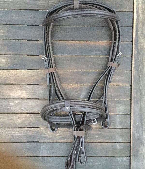 Padded Flash Bridle with Reins