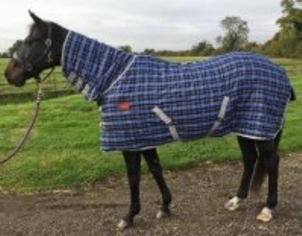 Stable Combo Rug - 200g