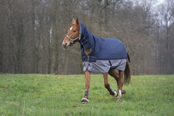 Equitheme Turnout Combo Rug - 350g