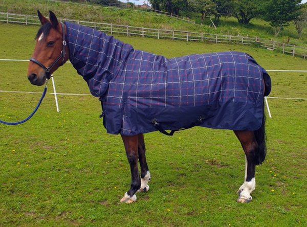 250g COMBO TURNOUT RUG