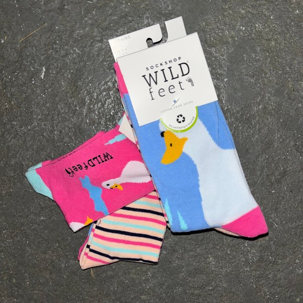 Wild Feet Short Socks - Duck and Puddles design - Pack 3