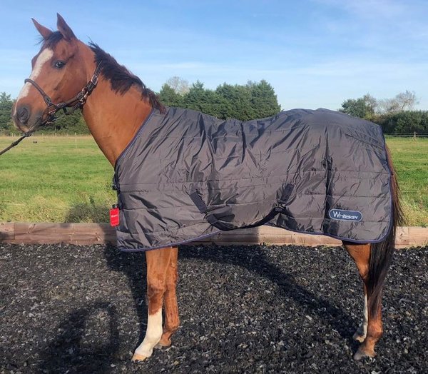 Whitaker 100g Stable Rug