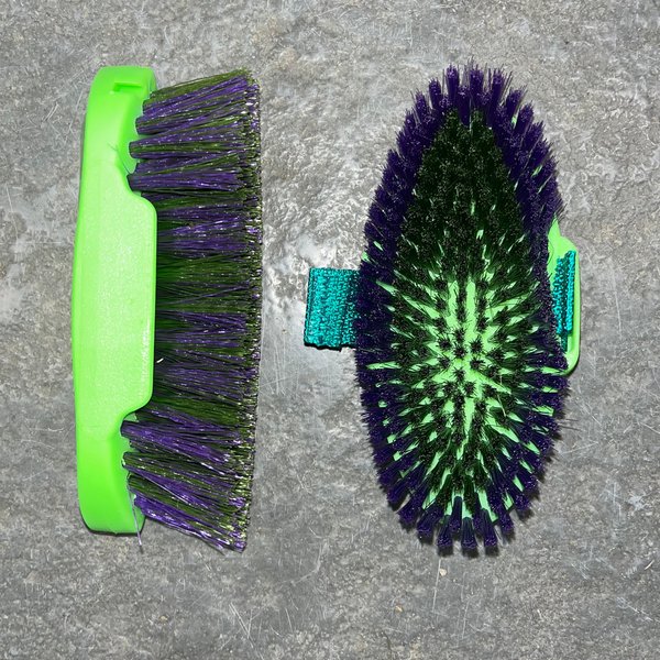 Equerry Dandy and Body Brush Set